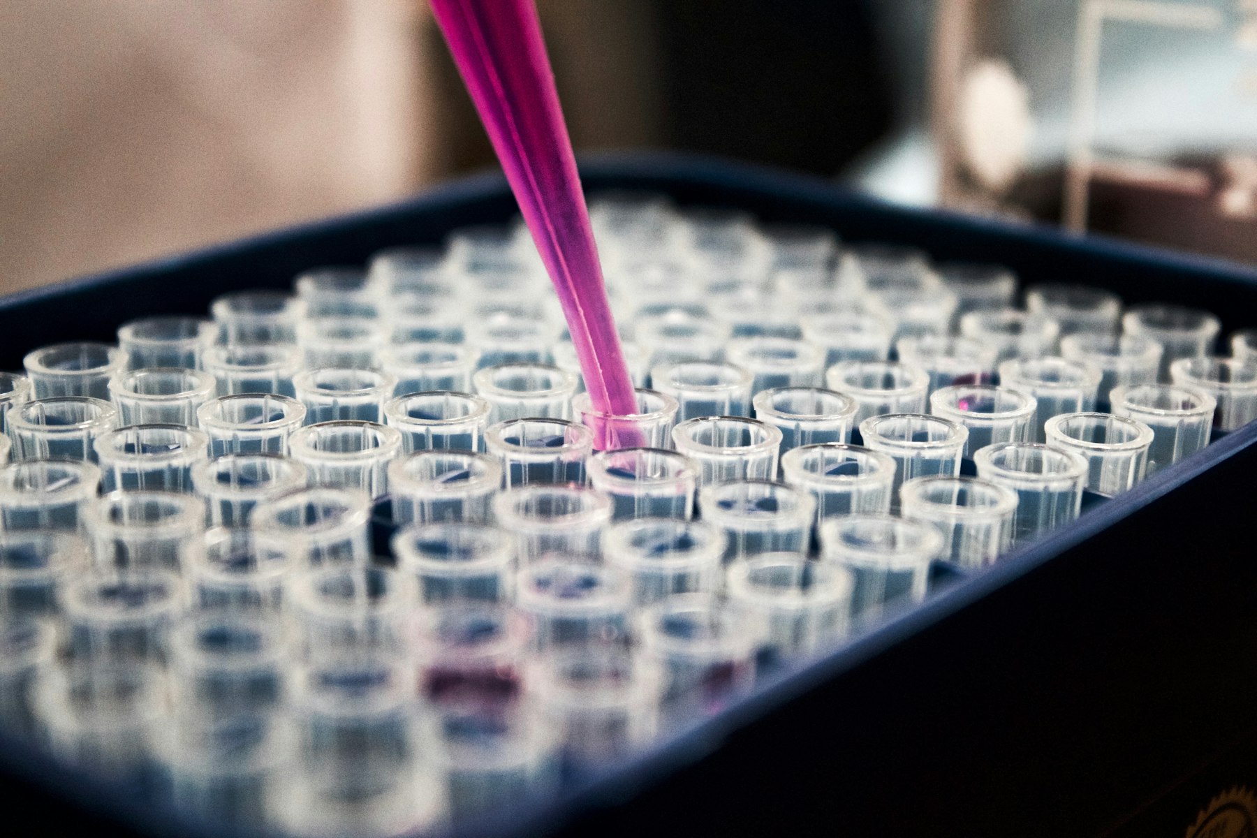 Blood samples being processed in a lab
